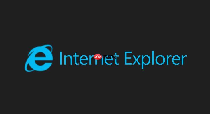 ie浏览器绿色版官方入口-ie高速浏览器网页版登录链接
