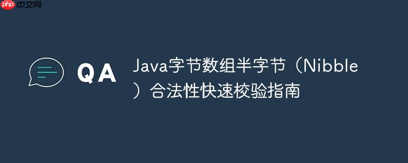 Java字节数组半字节(Nibble)合法性快速校验指南