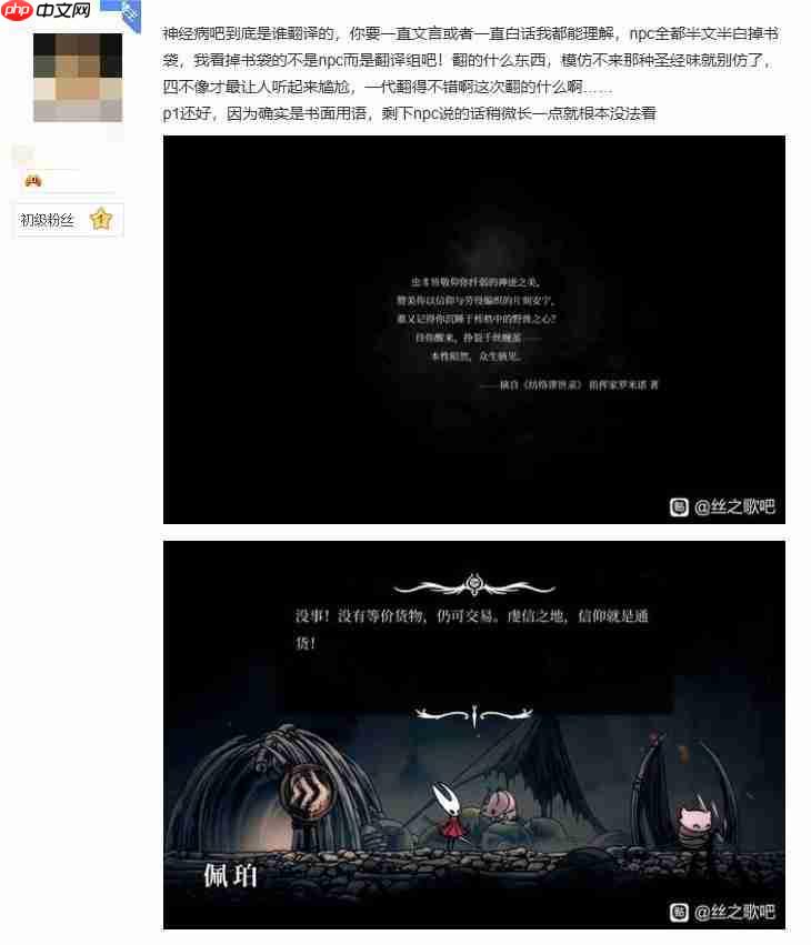 本地化风格引争议 《丝之歌》陷翻译风波 好评率骤跌