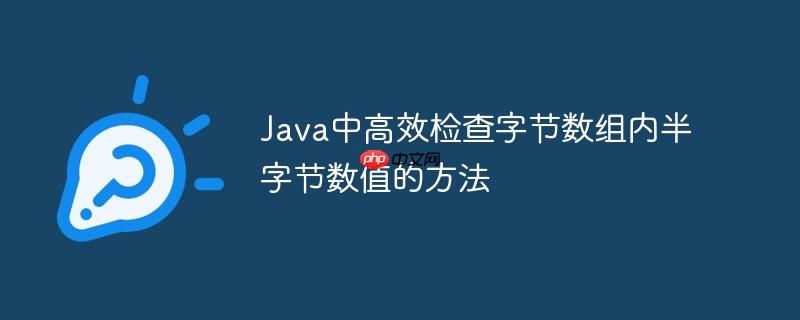 Java中高效检查字节数组内半字节数值的方法