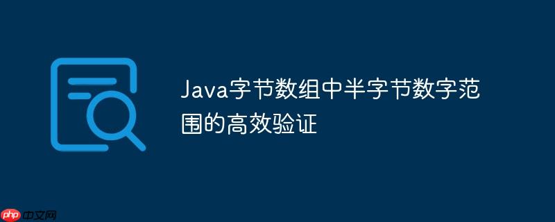 Java字节数组中半字节数字范围的高效验证