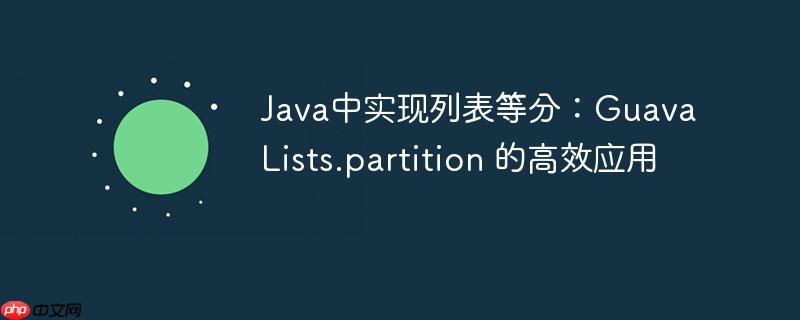 Java中实现列表等分:Guava Lists.partition 的高效应用