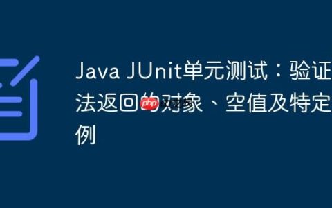 Java JUnit单元测试：验证方法返回的对象、空值及特定实例