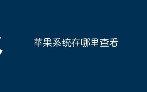 苹果系统在哪里查看