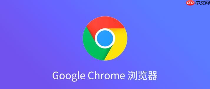 google浏览器网页版入口 google浏览器网页版最新地址