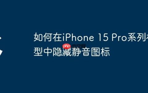 如何在iPhone 15 Pro系列机型中隐藏静音图标