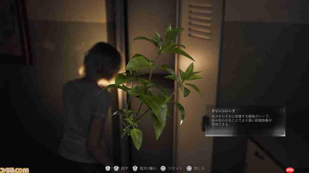 《生化危机9》外媒试玩报道:像极了小岛被砍掉的《寂静岭P.T》