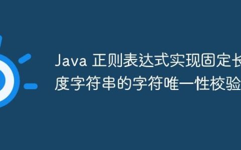 Java 正则表达式实现固定长度字符串的字符唯一性校验