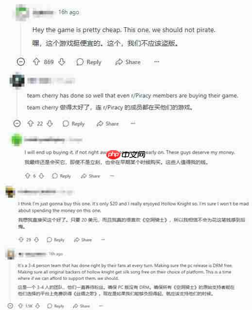 盗版玩家呼吁购买《空洞骑士:丝之歌》:它真的值这个价!