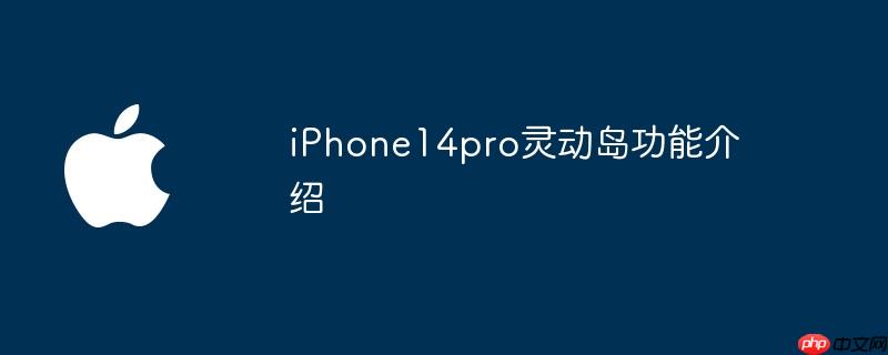 iphone14pro灵动岛功能介绍