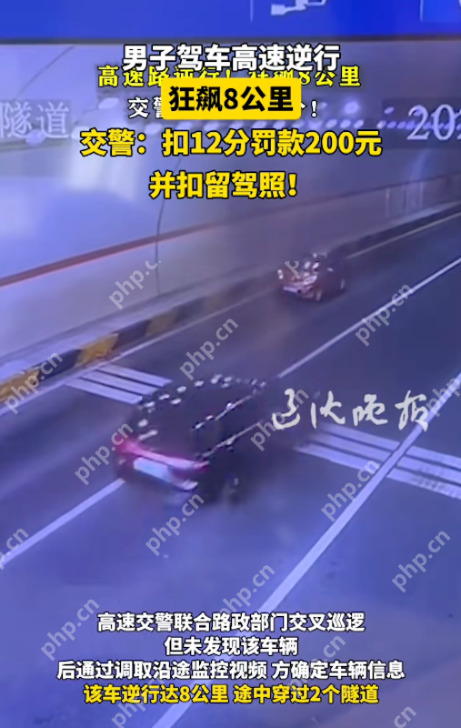 男子高速“逆行狂飙”8公里:教科书式危险驾驶,处罚结果引热议 - 创想鸟