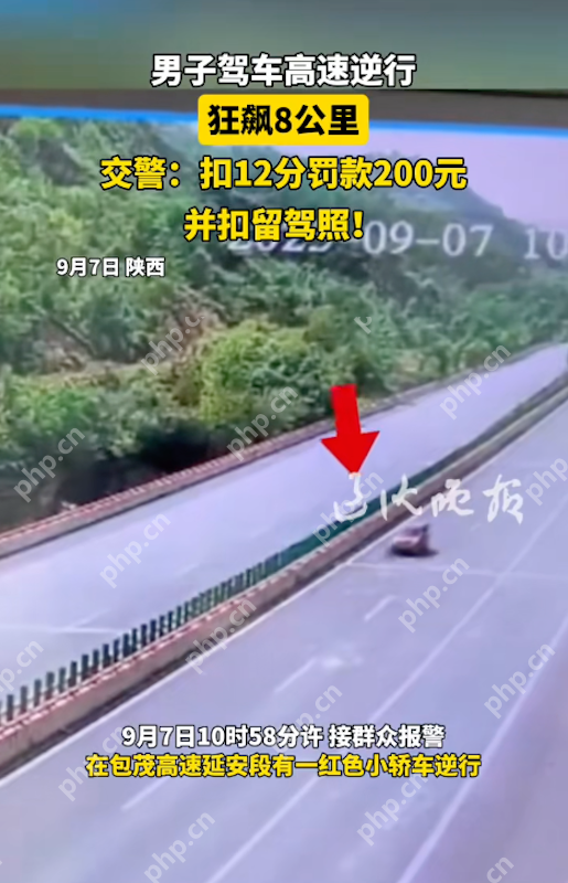 男子高速“逆行狂飙”8公里:教科书式危险驾驶,处罚结果引热议 - 创想鸟