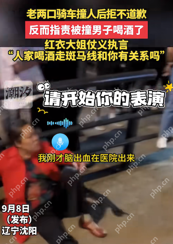 沈阳街头碰撞:老两口撞人后拒不道歉反指责被撞男子喝酒了 - 创想鸟