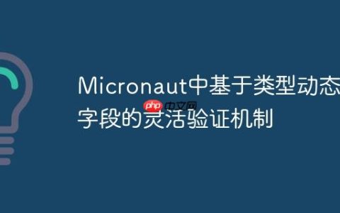 Micronaut中基于类型动态类字段的灵活验证机制