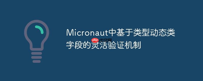 Micronaut中基于类型动态类字段的灵活验证机制