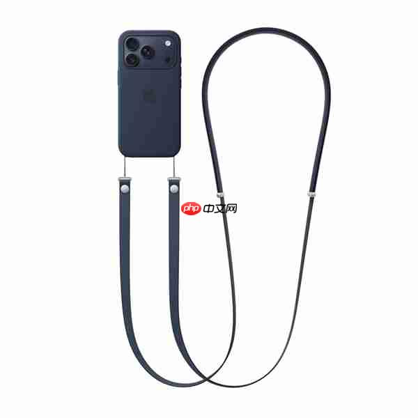 苹果客服回应iPhone 17挂绳卖479元:使用环保材质 罗永浩:可以说脏话吗