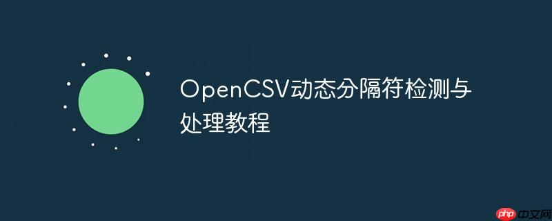 OpenCSV动态分隔符检测与处理教程