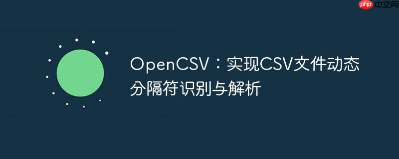 opencsv:实现csv文件动态分隔符识别与解析