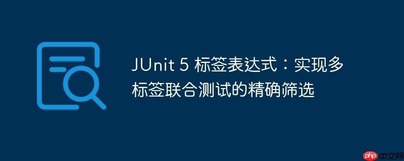 JUnit 5 标签表达式：实现多标签联合测试的精确筛选