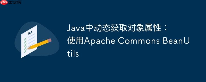 java中动态获取对象属性:使用apache commons beanutils