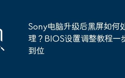 Sony电脑升级后黑屏如何处理？BIOS设置调整教程一步到位