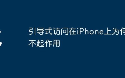 引导式访问在iPhone上为何不起作用