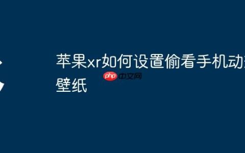 苹果xr如何设置偷看手机动态壁纸