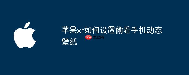 苹果xr如何设置偷看手机动态壁纸