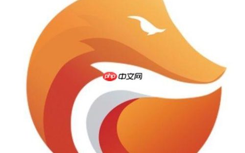 灵狐浏览器企业安全通道入口2025-灵狐浏览器加密版网页登录链接