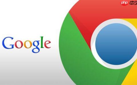 谷歌浏览器入口网页版 Google浏览器网页版官网入口
