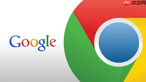 谷歌浏览器入口网页版 google浏览器网页版官网入口 - 创想鸟