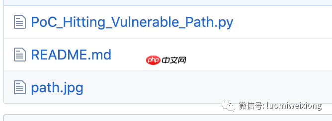 CVE-2019-0708-PoC-Hitting-Path
