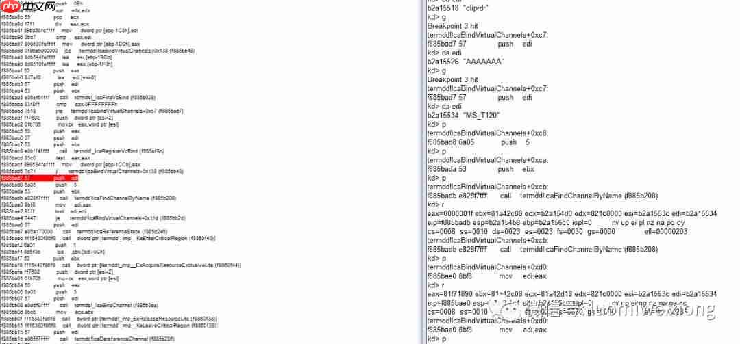 CVE-2019-0708-PoC-Hitting-Path