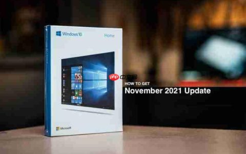 Win10 21H2怎么安装 更新Win10 21H2的两种方法