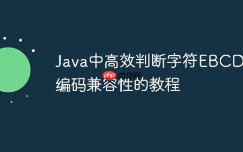 Java中高效判断字符EBCDIC编码兼容性的教程
