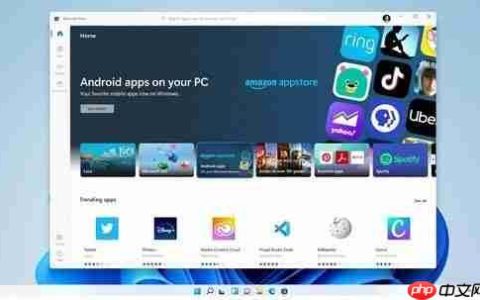 Win11无法安装软件怎么办？Win11无法安装软件解决办法