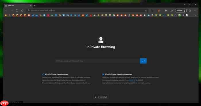 win10 edge浏览器调整inprivate 隐私浏览界面