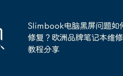 Slimbook电脑黑屏问题如何修复？欧洲品牌笔记本维修教程分享