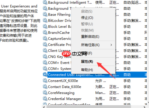 win10电脑服务主机本地网络受限怎么解决