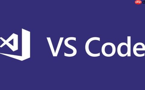 VSCode 的注释切换（Toggle Comment）功能支持哪些注释风格？