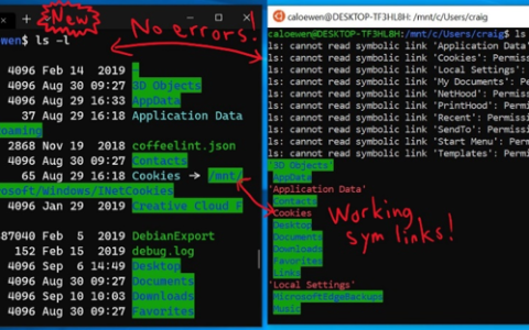 Win10 20H1 Build 18980版 WSL2现已支持ARM64架构