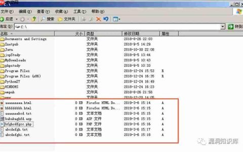IIS – 短文件名猜解漏洞