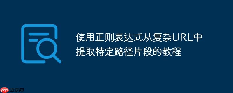 使用正则表达式从复杂URL中提取特定路径片段的教程