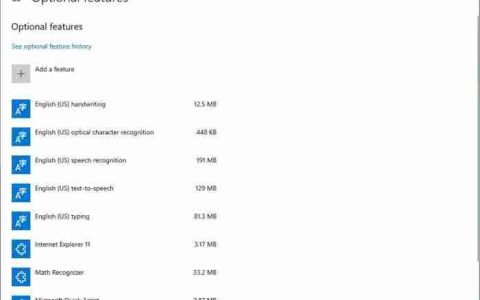 Win10 20H1在可选功能上添加排序和搜索功能并移除区域语言包