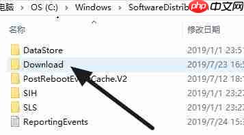Win11语言包路径位置在哪?Win11语言包路径位置详细介绍