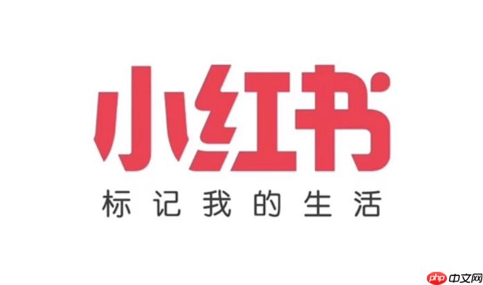 小红书网页版怎么查看订单_小红书网页版电商订单查询教程