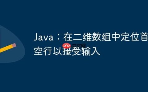 Java：在二维数组中定位首个空行以接受输入