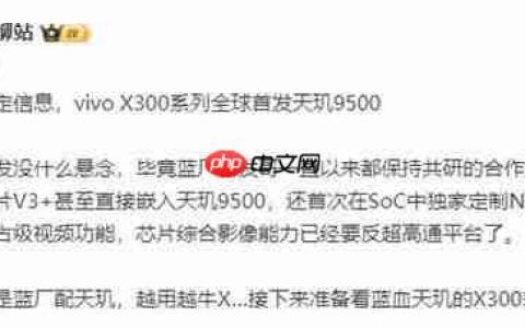 2025“拍照最强”的手机：vivo X300 Pro 2亿像素成旅拍神器