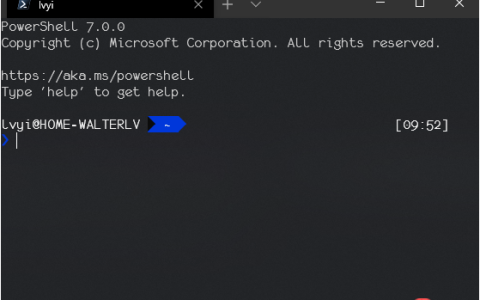 将 Windows Terminal 作为外部工具集成到其他工具/程序/代码中