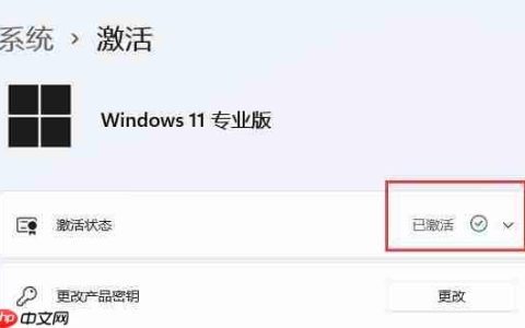 Win11是联网自动激活吗 Win11联网自动激活详细介绍